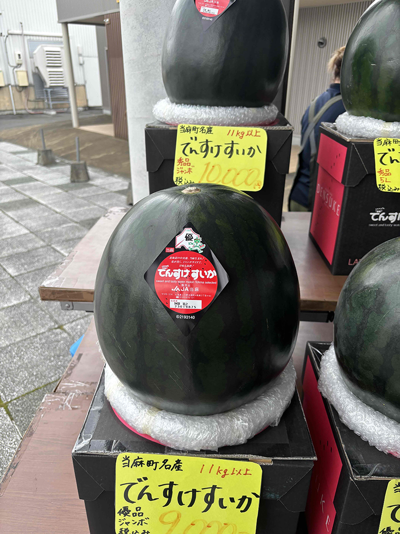 2025年度 北海道版 ガチャピンズラリー達成者