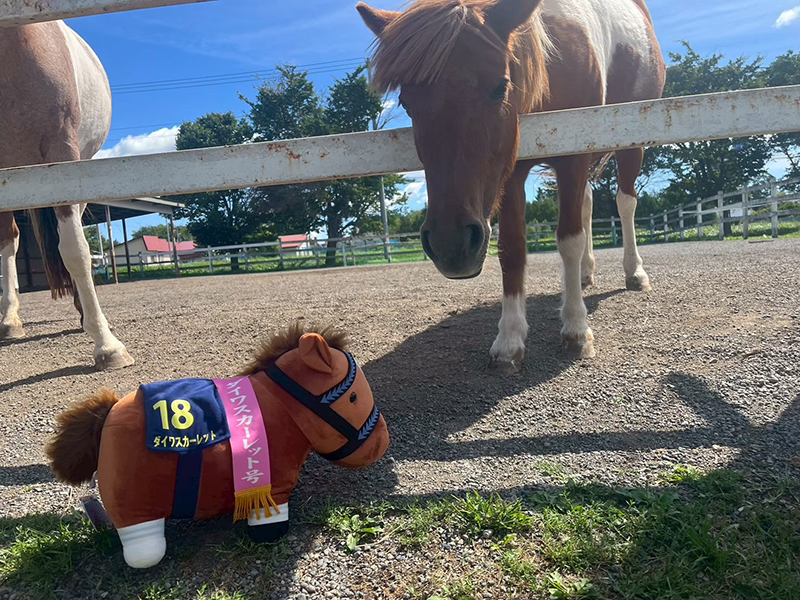 2025年度 北海道版 ガチャピンズラリー達成者