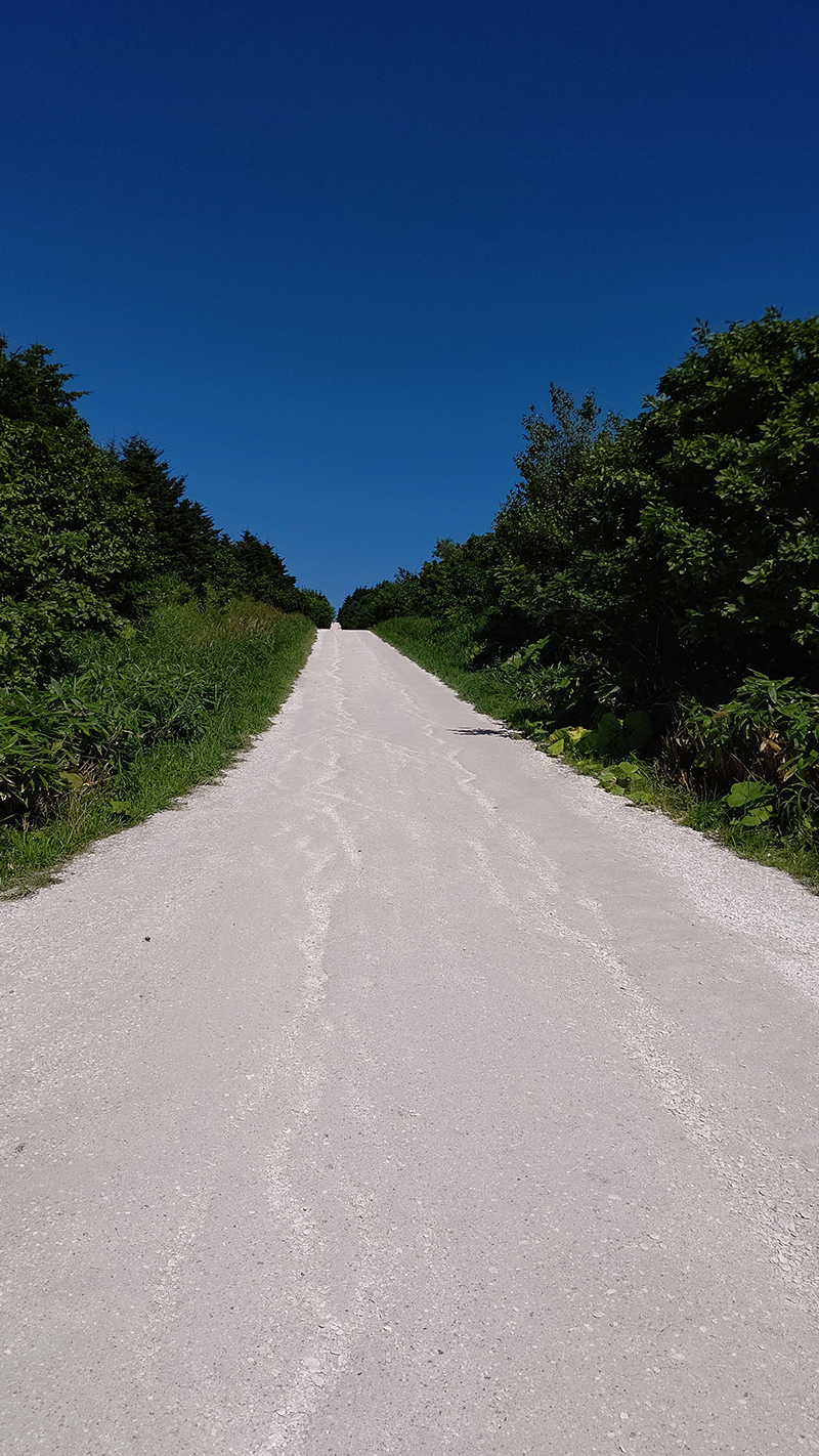 2025年度 北海道版 ガチャピンズラリー達成者