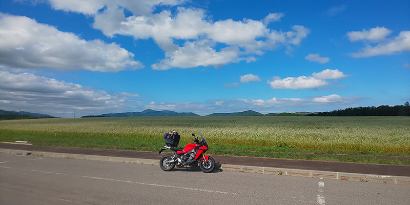 2025年度 北海道版 ガチャピンズラリー達成者