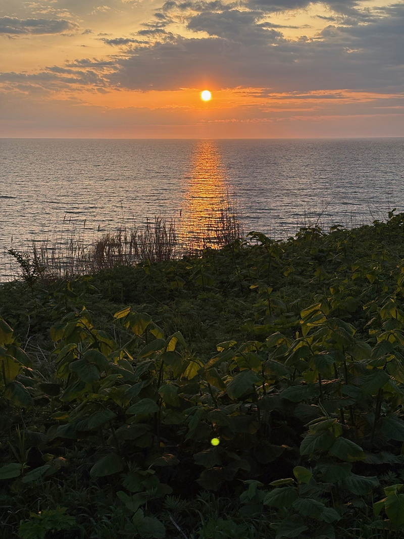 2025年度 北海道版 ガチャピンズラリー達成者