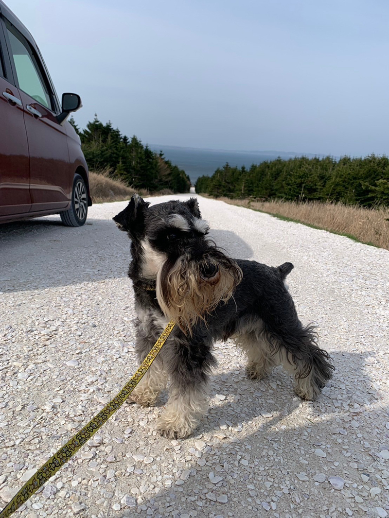 2025年度 北海道版 ガチャピンズラリー達成者