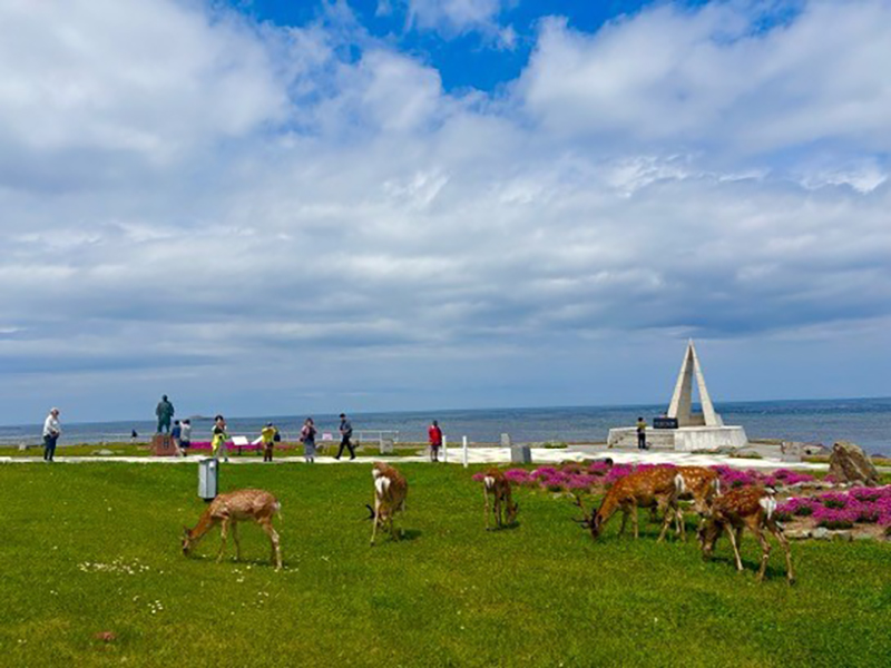 2025年度 北海道版 ガチャピンズラリー達成者