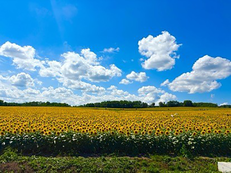 2025年度 北海道版 ガチャピンズラリー達成者