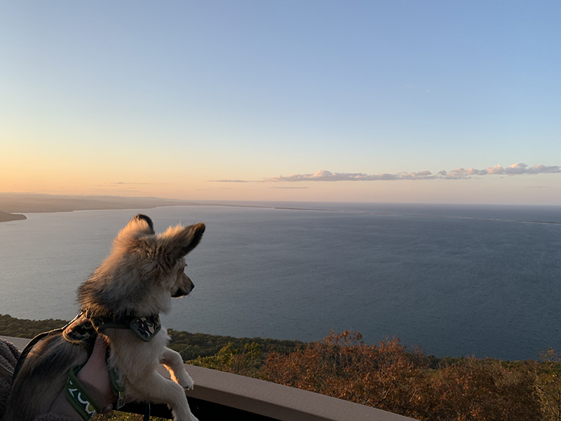 2025年度 北海道版 ガチャピンズラリー達成者