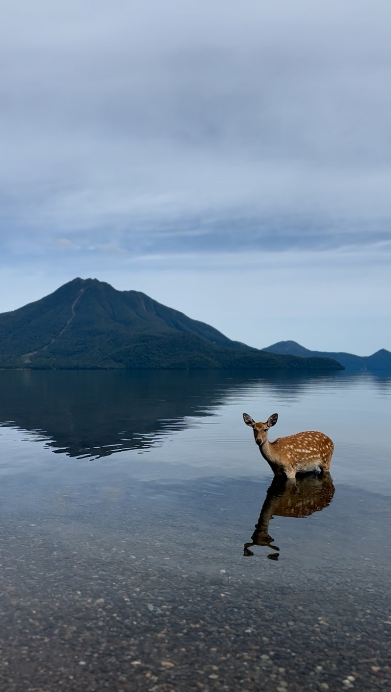 2025年度 北海道版 ガチャピンズラリー達成者
