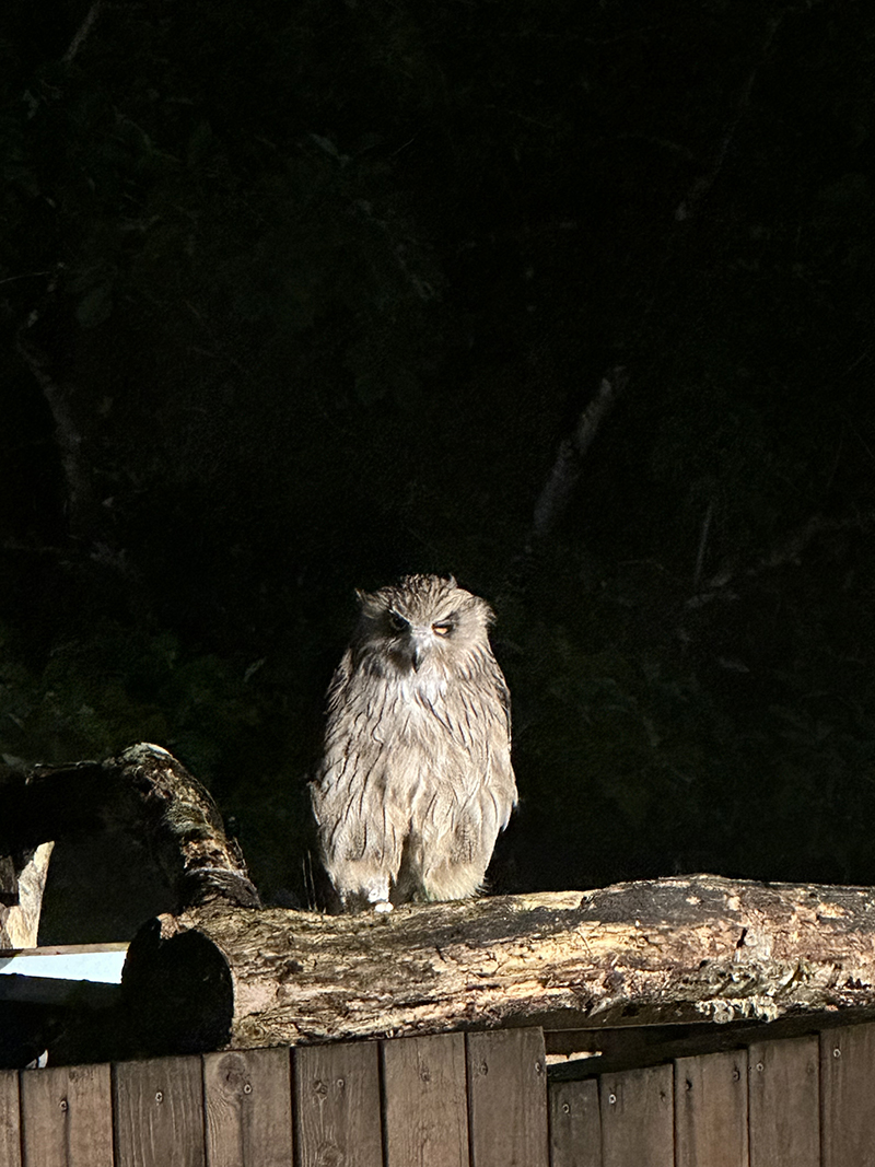 2025年度 北海道版 ガチャピンズラリー達成者