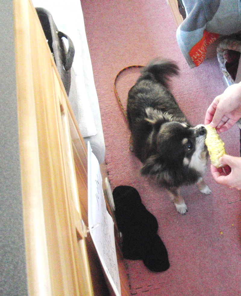 2025年度 北海道版 ガチャピンズラリー達成者