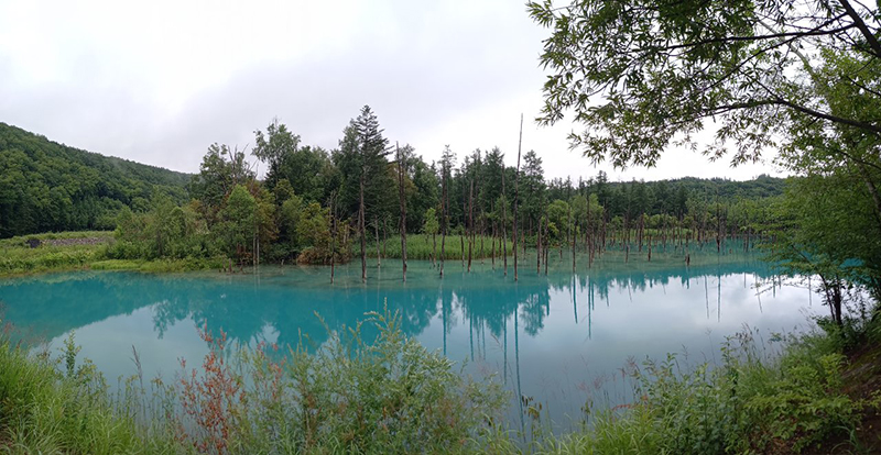 2025年度 北海道版 ガチャピンズラリー達成者