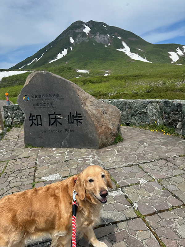 2025年度 北海道版 ガチャピンズラリー達成者