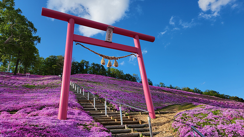 2025年度 北海道版 ガチャピンズラリー達成者