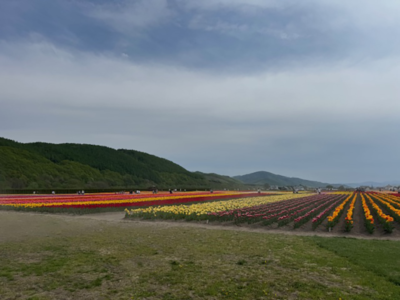 2025年度 北海道版 ガチャピンズラリー達成者
