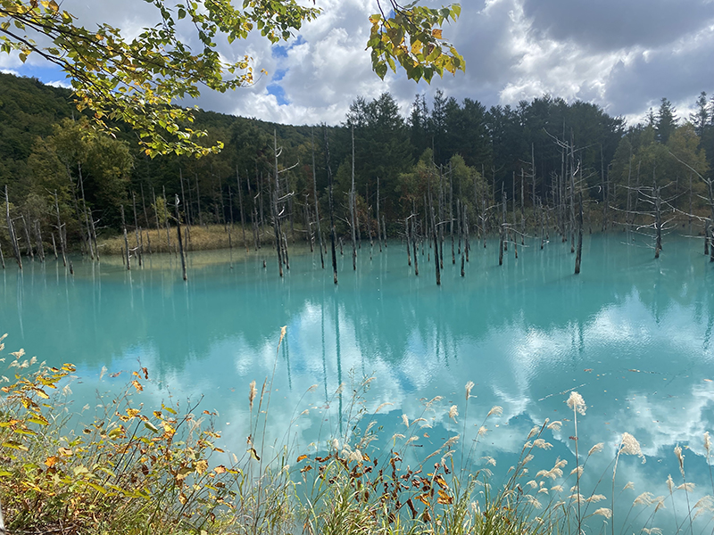 2025年度 北海道版 ガチャピンズラリー達成者