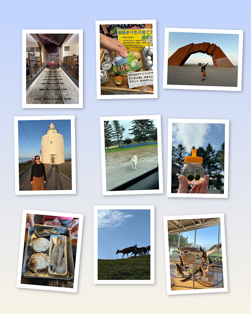 2025年度 北海道版 ガチャピンズラリー達成者