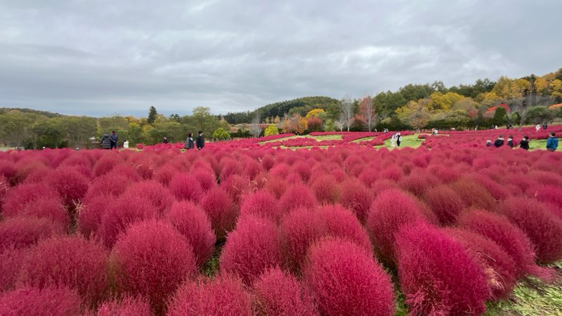 2025年度 北海道版 ガチャピンズラリー達成者