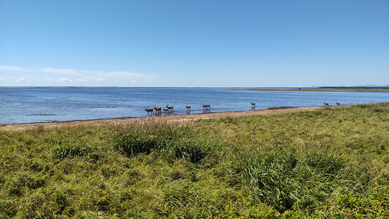 2025年度 北海道版 ガチャピンズラリー達成者