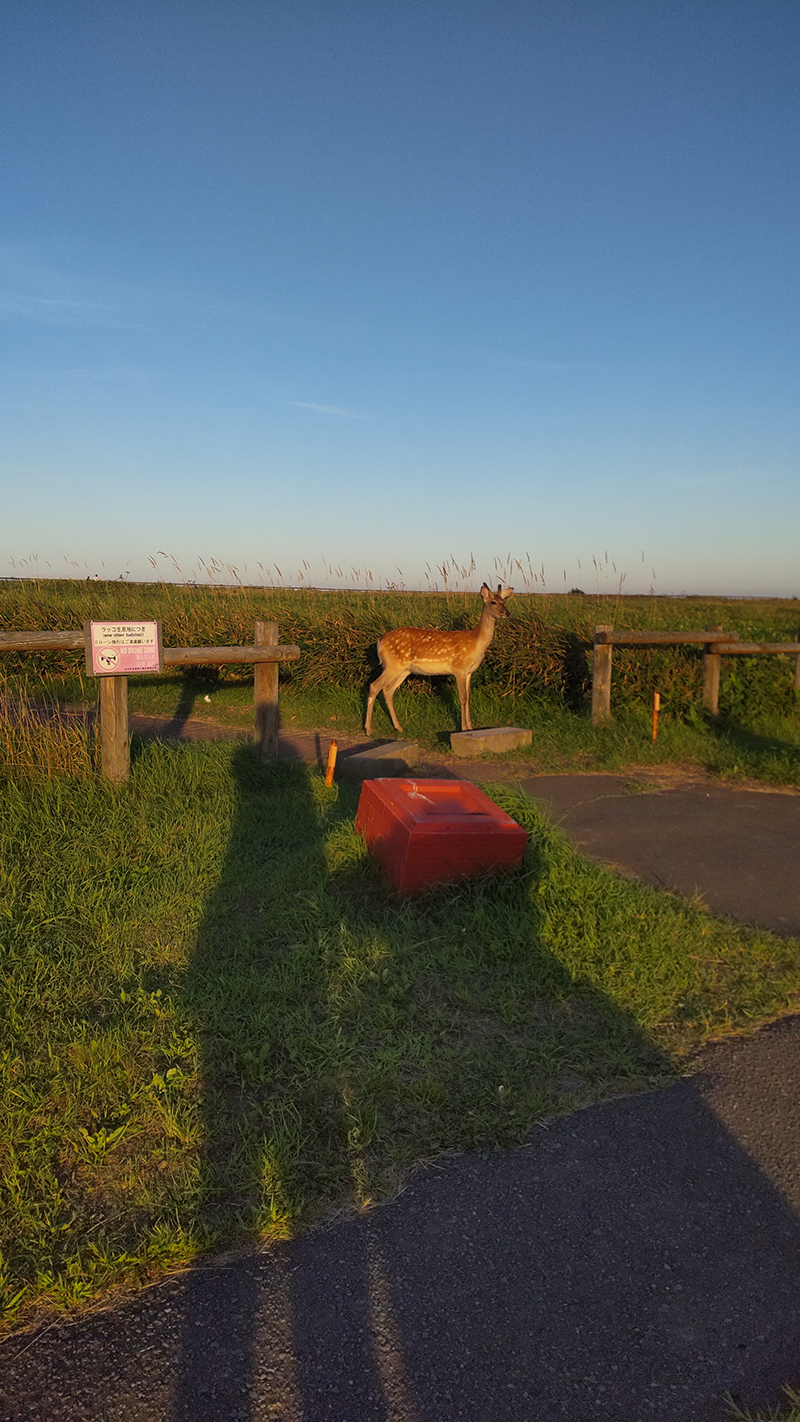2025年度 北海道版 ガチャピンズラリー達成者