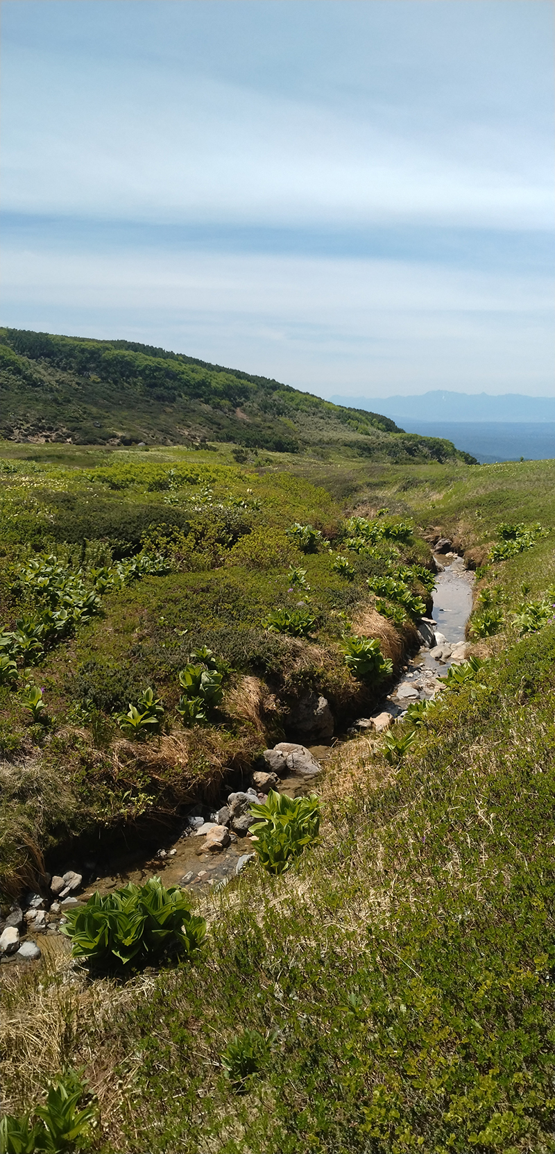 2025年度 北海道版 ガチャピンズラリー達成者