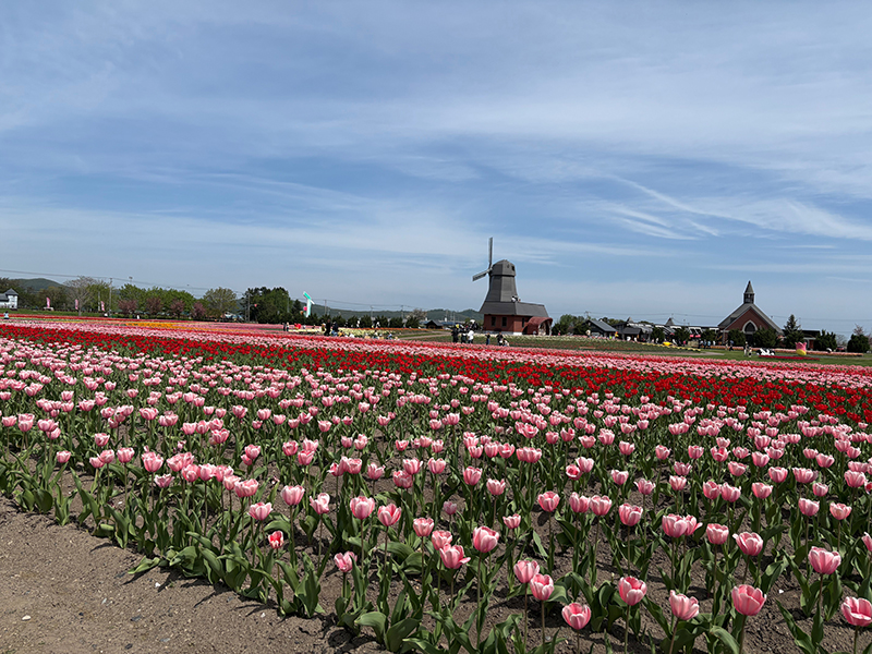 2025年度 北海道版 ガチャピンズラリー達成者