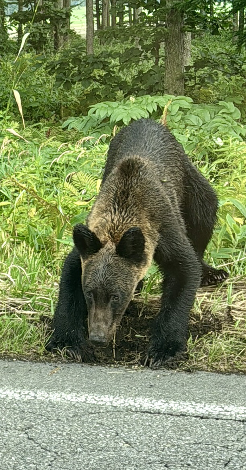 2025年度 北海道版 ガチャピンズラリー達成者