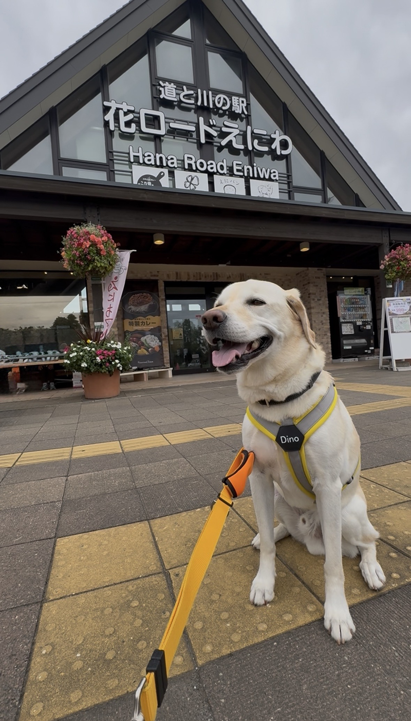 2025年度 北海道版 ガチャピンズラリー達成者