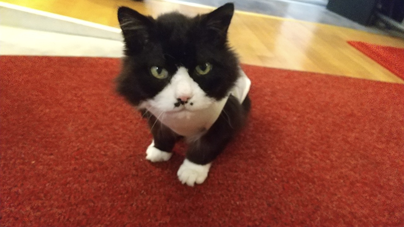 2025年度 北海道版 ガチャピンズラリー達成者