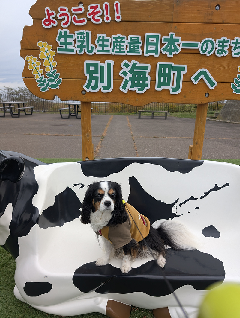 2025年度 北海道版 ガチャピンズラリー達成者