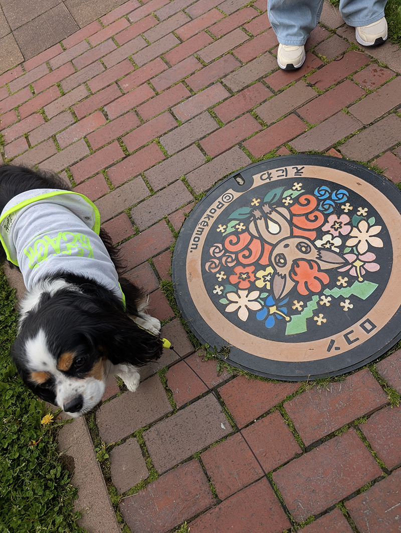 2025年度 北海道版 ガチャピンズラリー達成者