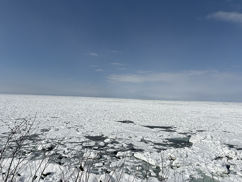 2025年度 北海道版 ガチャピンズラリー達成者