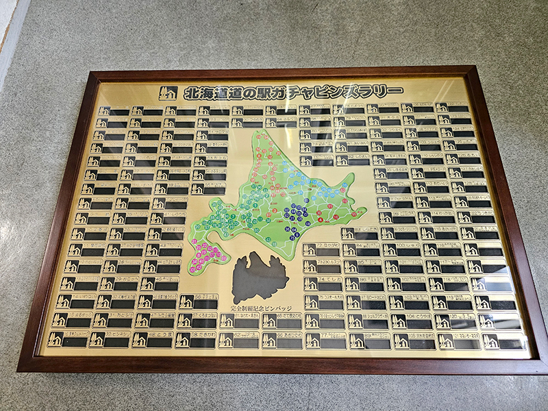 ピンズコレクションケース アクリル製(ゴールドver.)