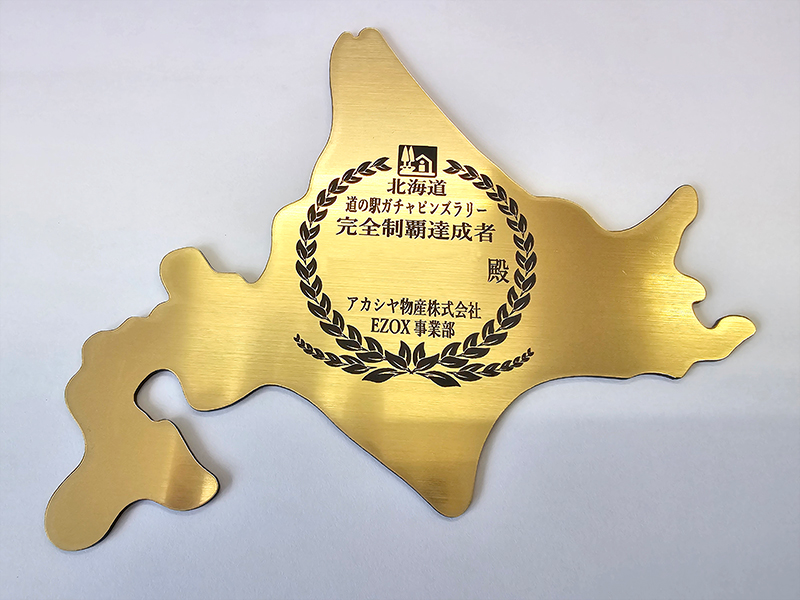 ピンズコレクションケース アクリル製(ゴールドver.)