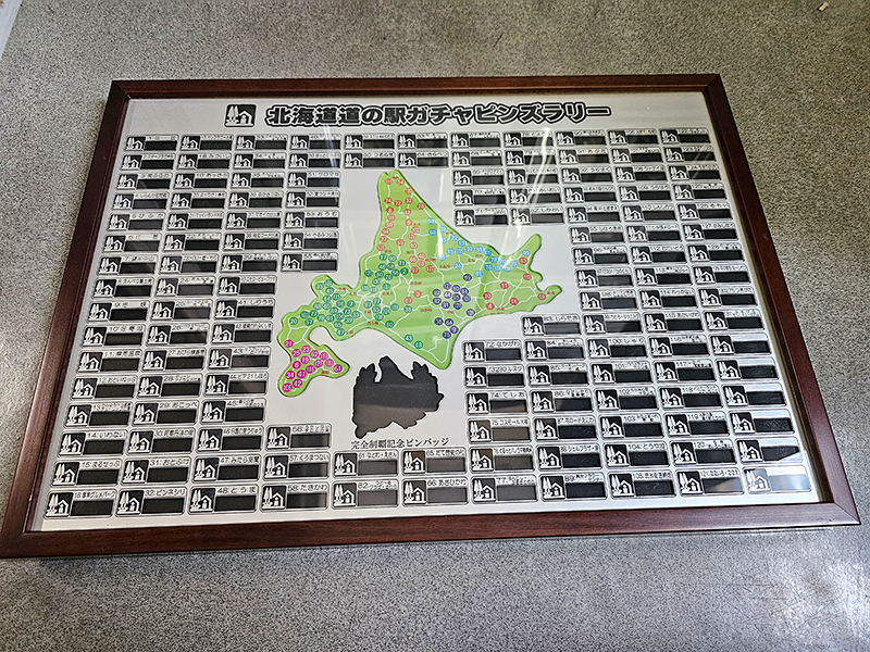 ピンズコレクションケース アクリル製(シルバーver.)