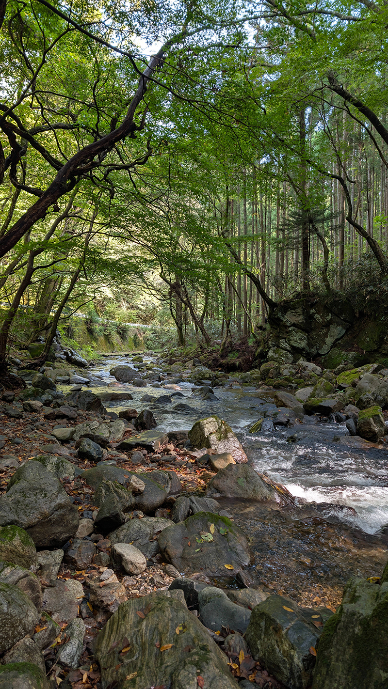 2025年度 茨城版 ガチャピンズラリー達成者