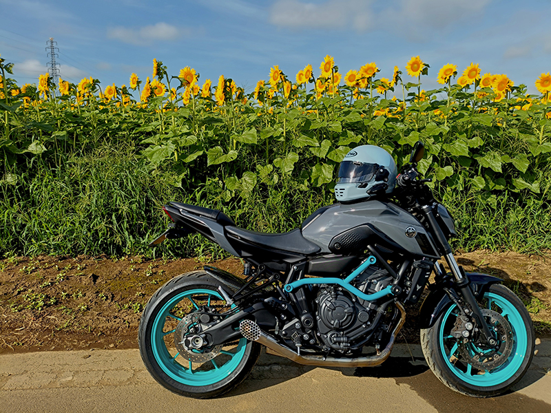 2025年度 茨城版 ガチャピンズラリー達成者