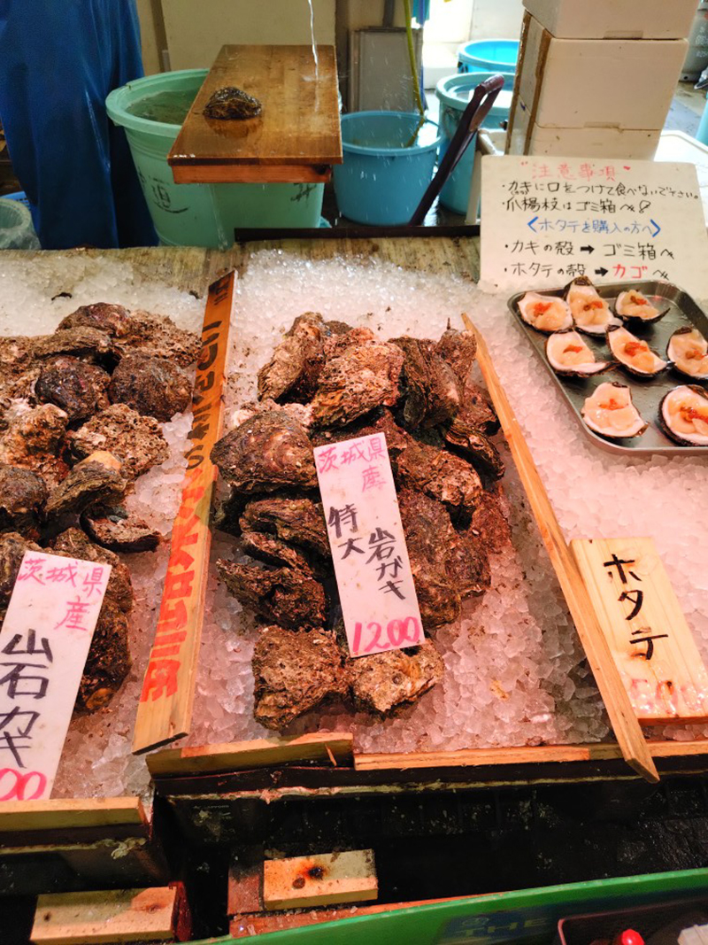 2025年度 茨城版 ガチャピンズラリー達成者