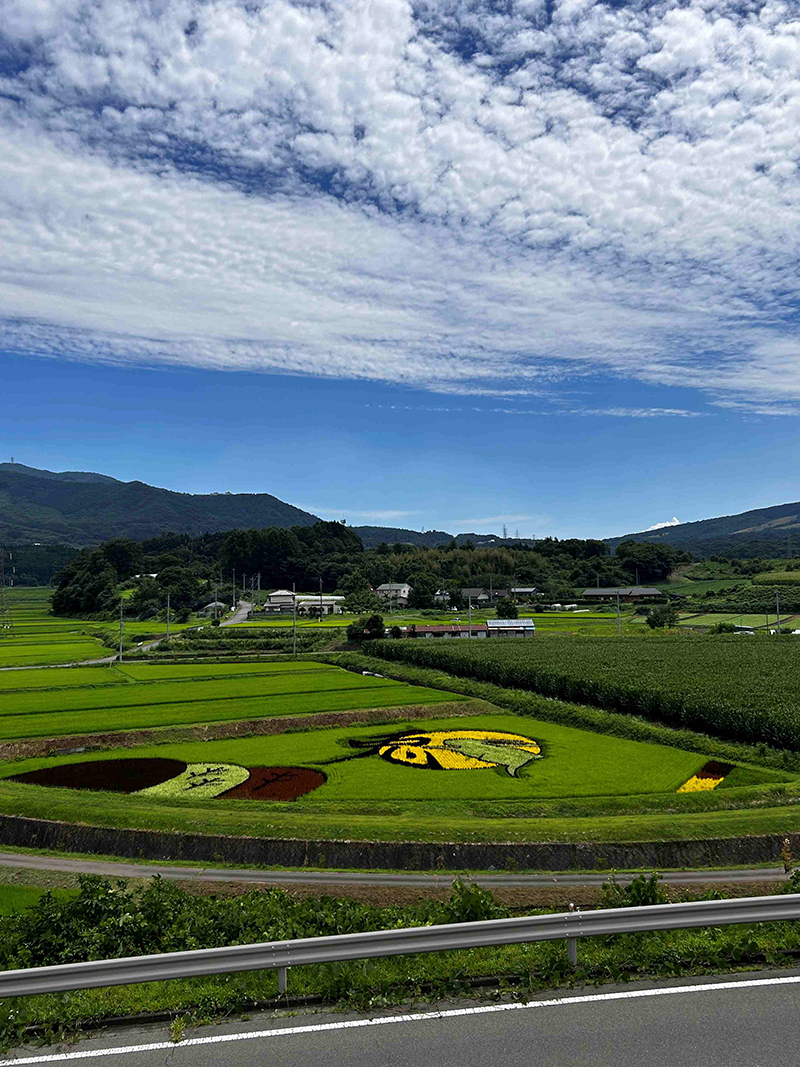 2023年度 関東版 ガチャピンズラリー達成者