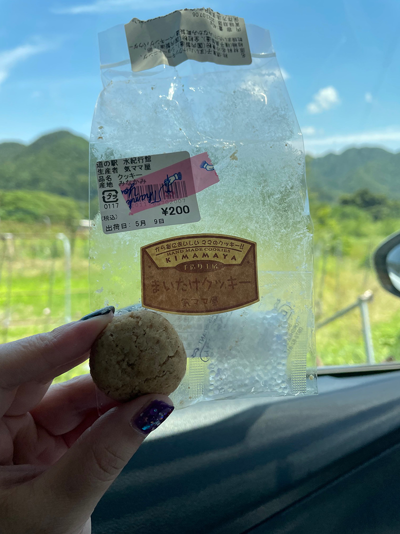 2023年度 関東版 ガチャピンズラリー達成者