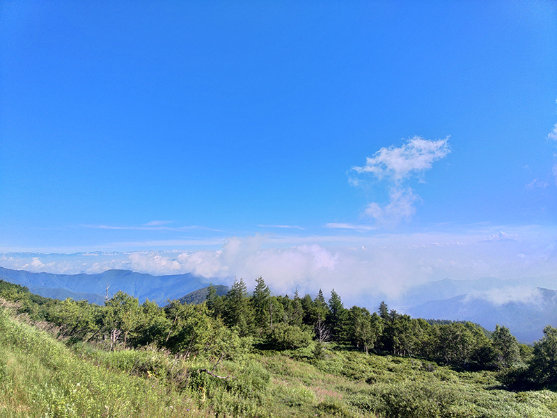 2023年度 関東版 ガチャピンズラリー達成者