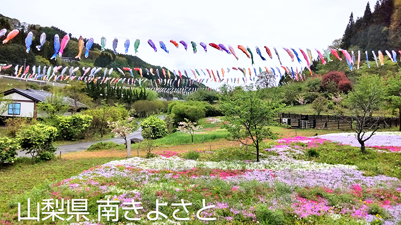 2024年度 関東版ガチャピンズラリー達成者