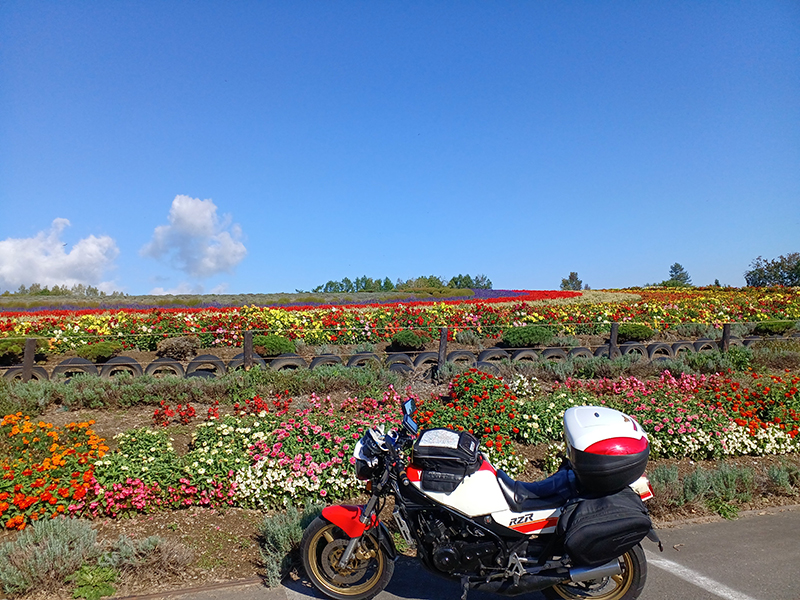 2024年度 関東版ガチャピンズラリー達成者