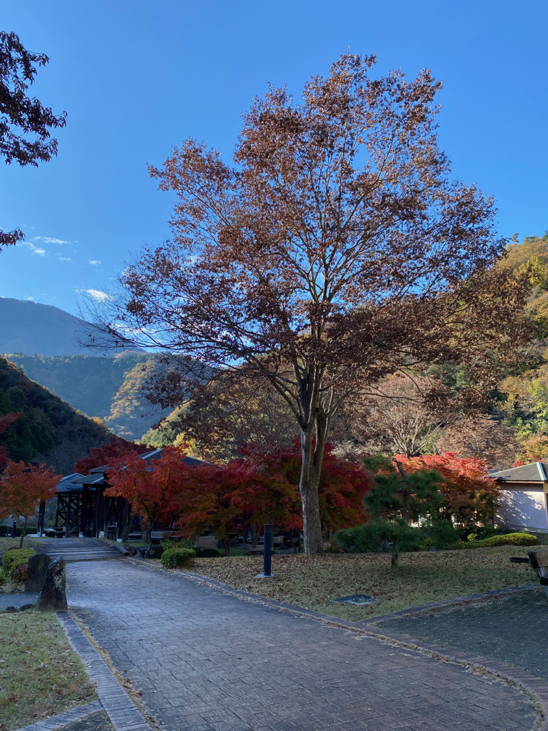 2024年度 関東版ガチャピンズラリー達成者