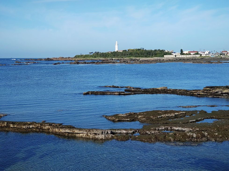 2024年度 関東版ガチャピンズラリー達成者