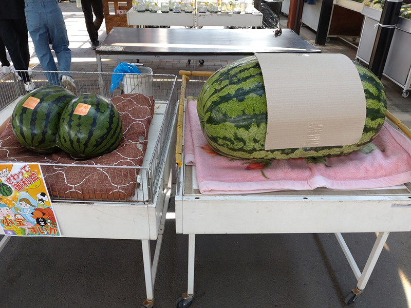 2024年度 関東版ガチャピンズラリー達成者