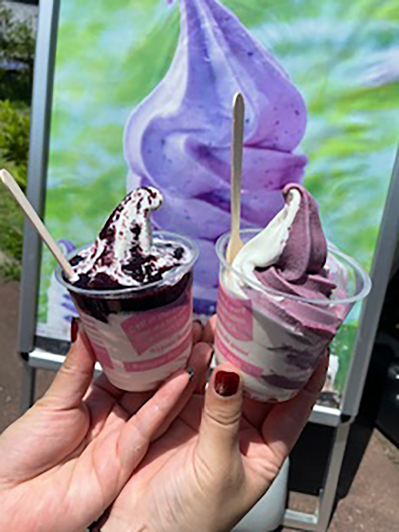 2024年度 関東版ガチャピンズラリー達成者