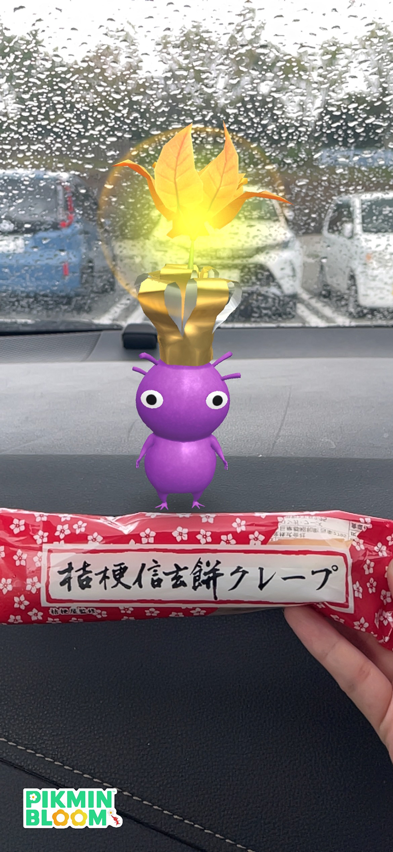 2024年度 関東版ガチャピンズラリー達成者