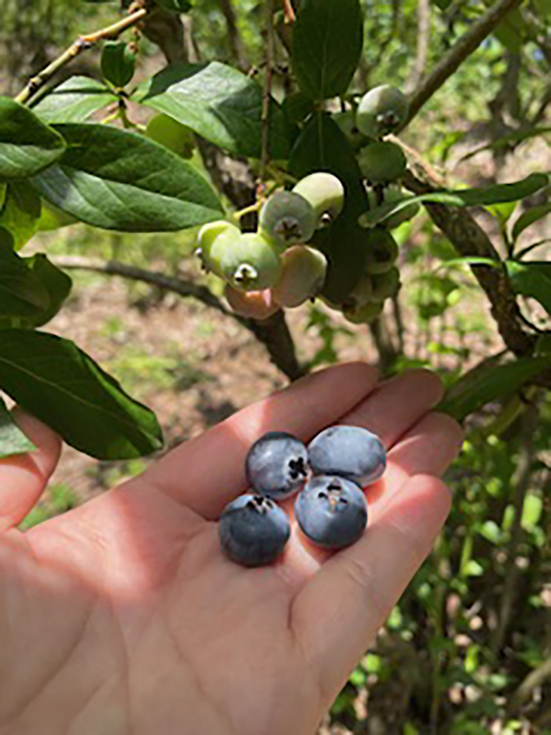 2024年度 関東版ガチャピンズラリー達成者