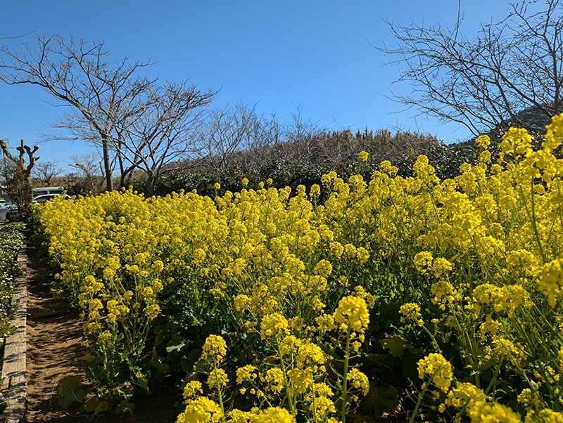 2024年度 関東版ガチャピンズラリー達成者