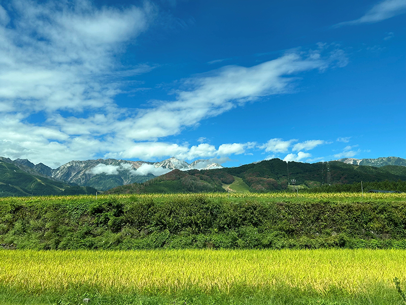 2024年度 関東版ガチャピンズラリー達成者