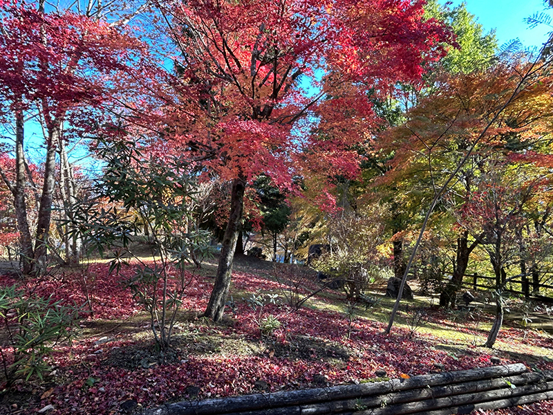 2024年度 関東版ガチャピンズラリー達成者