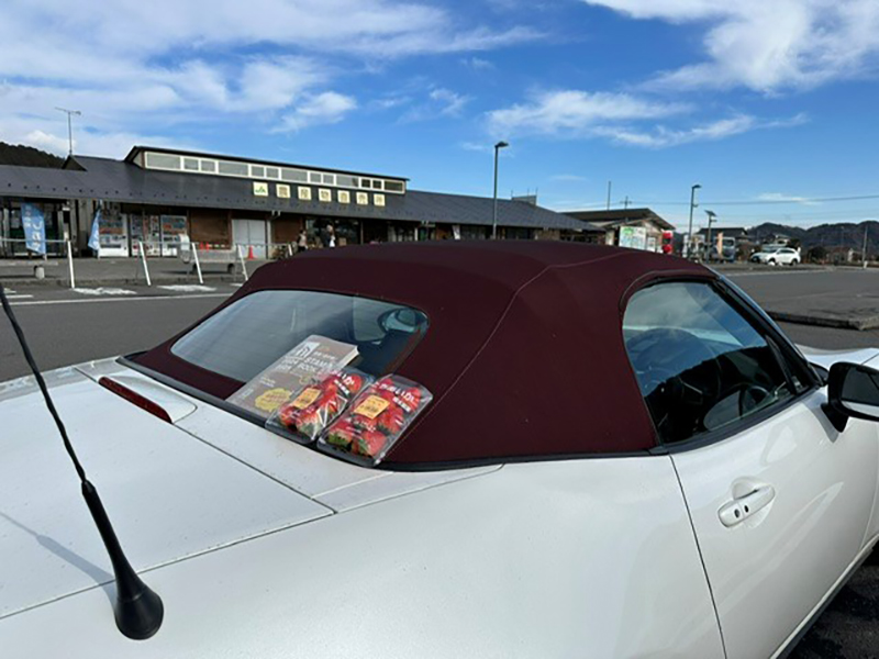 2024年度 関東版ガチャピンズラリー達成者